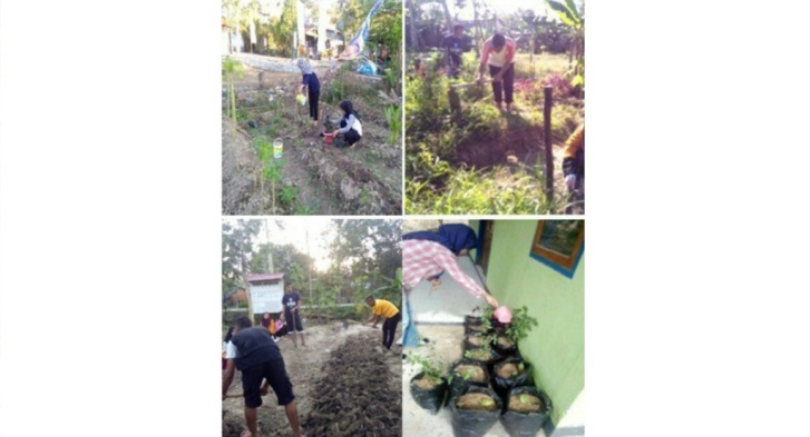 Aktivitas mahasiswa UHO membuat kebun toga di halaman rumah masyarakat Kelurahan Padaleu, Perumahan Kendari Permai. (Dok. KKN Tematik)