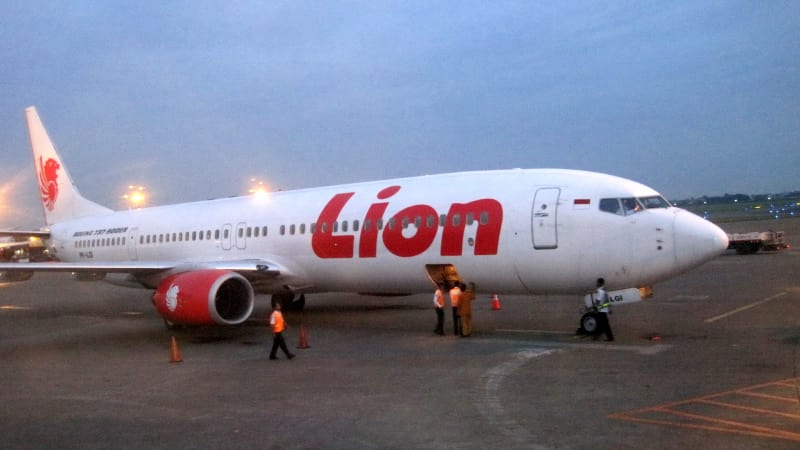 Ilustrasi Pesawat Lion Air. (Foto: Wikipedia)