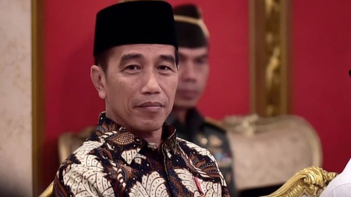 Presiden Jokowi Dodo (Foto: tribunnews.com)