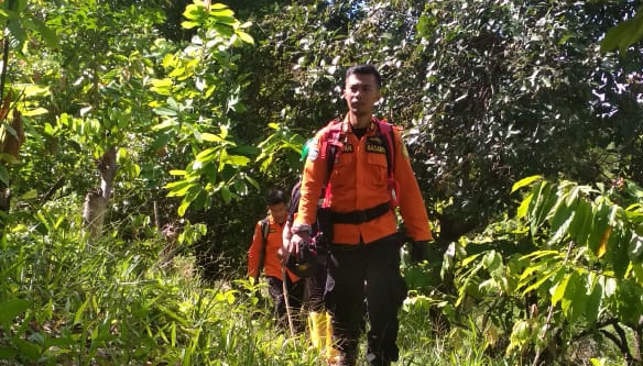 Proses pencarian korban hilang di Hutan Desa Awa, Kecamatan Samaturu, Kolaka pada Sabtu (5/1/2019). (Foto: SAR).