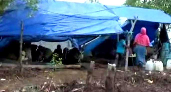 Salah satu tenda warga yang mengungsi di daerah bukitan di Kolaka Utara. (Foto: Istimewa)