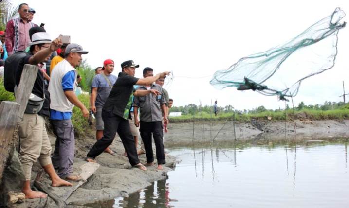 Panen udang dan ikan Pemda Konut bersama warga di wilayah Bata Batao, Desa Tapunggaya, Kecamatan Molawe. (Foto: Dok.SULTRAKINI.COM)