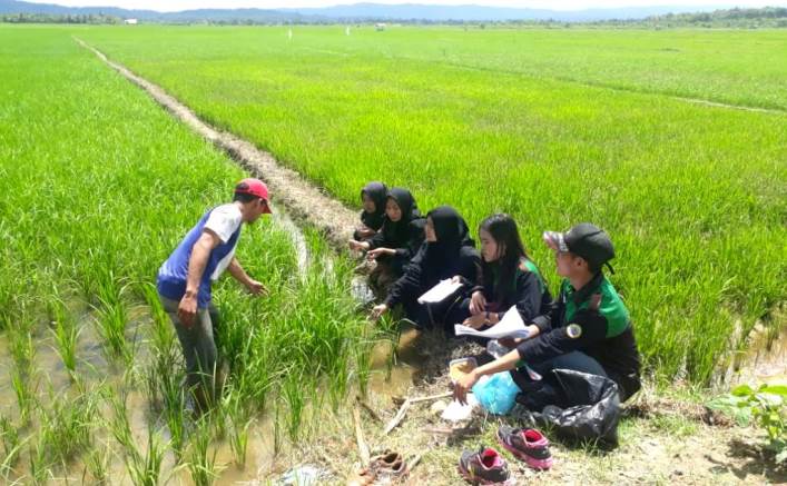 Mahasiswa Fakultas Pertanian USN Kolaka mensosialisasikan penggunaan pupuk organik ke petani. (Foto: Istimewa)