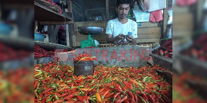 Salah seorang pedagang cabai di Pasar Mandonga, Febri. (Foto: Ade Putri/SULTRAKINI.COM).