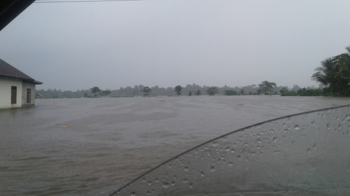 Persawahan yang terendam banjir di Desa Wawoone, Kecamatan Pondidaha, Kabupaten Konawe. (Foto: Ulul Azmi/SULTRAKINI.COM)