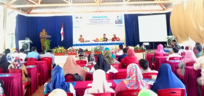 Wakil Wali Kota Baubau, La Ode Ahmad Monianse pada sosialisasi pengembangan UMKM. (Foto: Aisyah Welina/SULTRAKINI.COM)