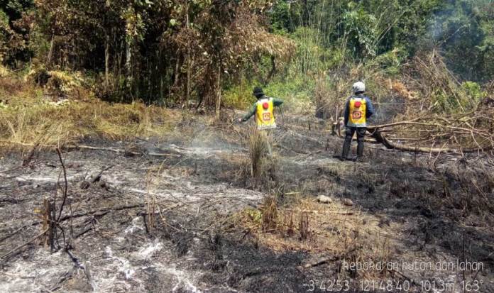 Kebakaran lahan di Desa Asinua Jaya, Kabupaten Konawe pada 27 Agustus 2019. (Foto: Istimewa)