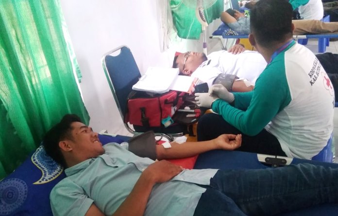 Aksi donor darah di HUT PMI, Kamis (19/9/2019). (Foto: Ardian Saban/SULTRAKINI.COM)