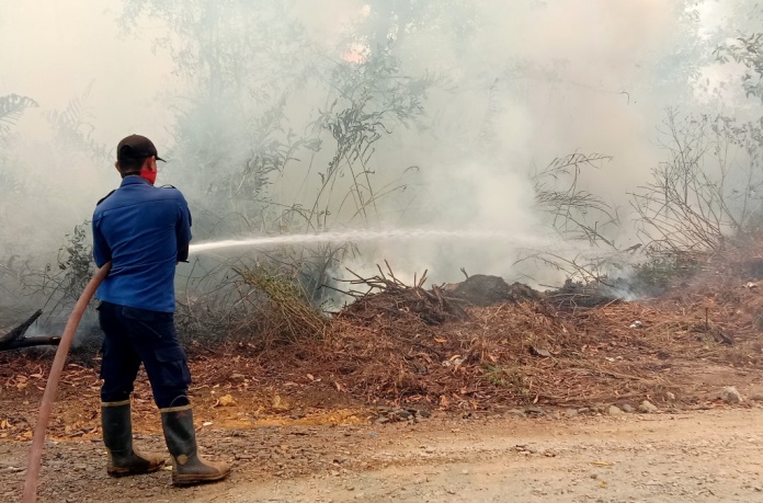 Kebakaran hutan gambut di Jalan Lumba-Lumba, Kota Kendari, Jumat (18/10/2019). (Foto: Hasrul Tamrin/SULTRAKINI.COM)