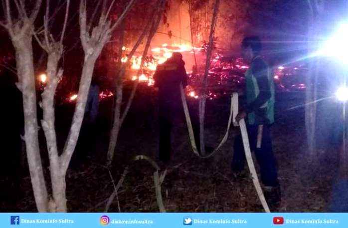 Kebakaran hutan di Kabupaten Kolaka Timur. (Foto: Ist)
