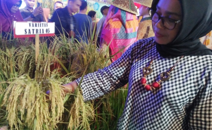 Kepala Seksi Perbenihan dan Perlindungan Tanaman, Sahira di stand Provinsi Sultra pameran pangan HPS ke-39. (Foto: Riswan/SULTRAKINI.COM)