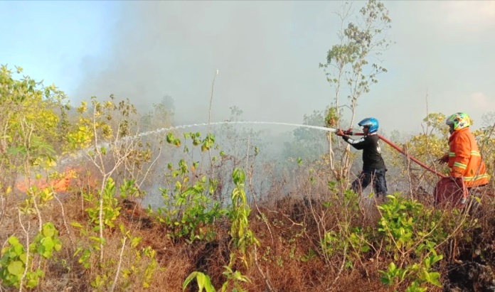 Kebakaran lahan kebun di Desa Waha, Wakatobi. (Foto: Istimewa)