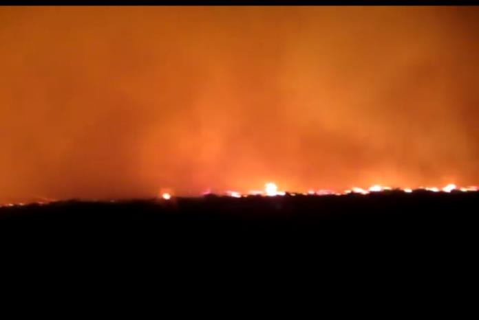 Kebakaran lahan di Kabupaten Kolaka, Sultra. (Foto: Istimewa)