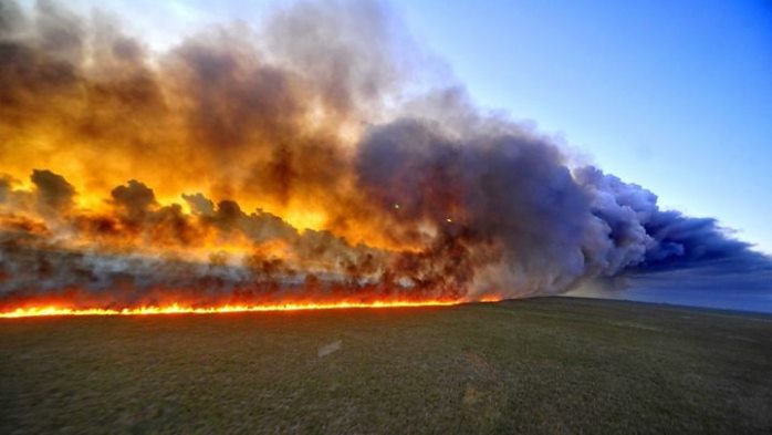Kebakaran Hutan Amazon. (Foto: BBC.com)