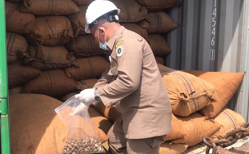 Kontainer ekspor biji mete siap dikirim ke Vietnam melalui Pelabuhan Kendari New Port (Foto: Ririn Andriani/SULTRAKINI.COM)