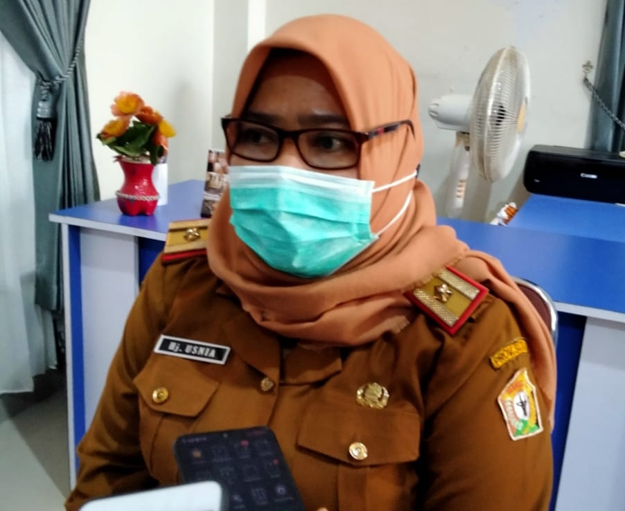 Plt Kepala Dinas Kesehatan Sultra, Hj Usnia, (Foto: Riswan/SULTRAKINI.COM)
