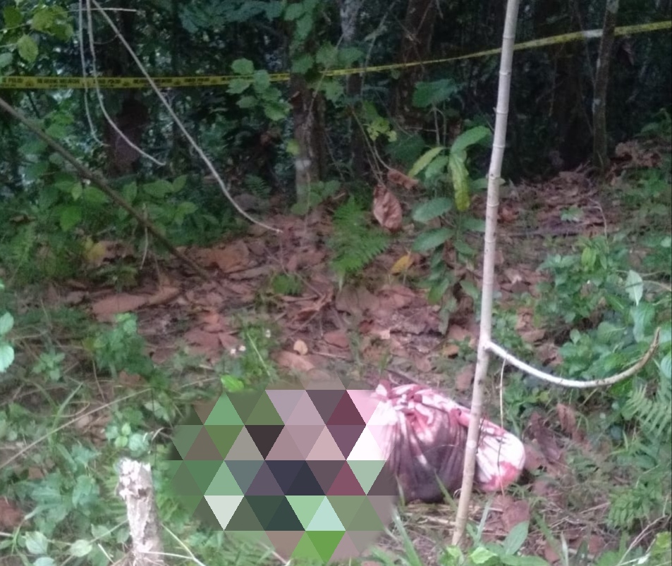 Penemuan mayat di hutan Wolasi, Selasa (2/3/2021) (Foto: Ist)