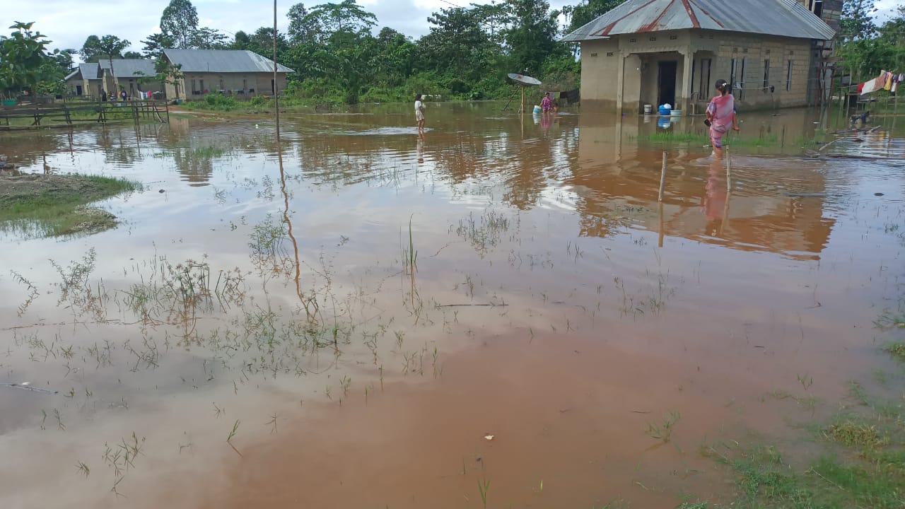 Banjir merendam permukiman warga di Desa Laloika Kecamatan Pondidaha, Konawe. (Foto: Dok. BPBD Konawe)