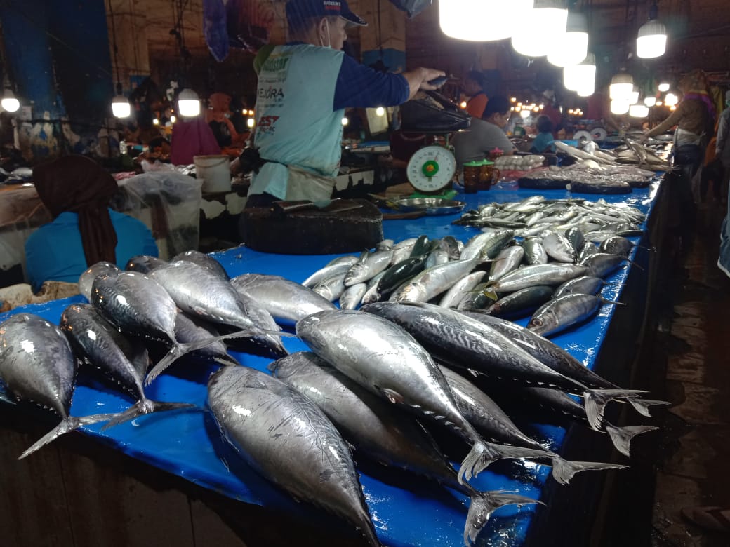 Jenis Ikan Cakang dan Lajang di Pasar Mall Mandonga (Foto: Wa Rifin/SULTRAKINI.COM) ﻿
