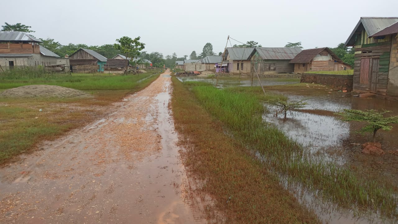 Kondisi banjir yang mulai surut di Desa Laloika, Kecamatan Pondidaha, Konawe (Foto: Ist)