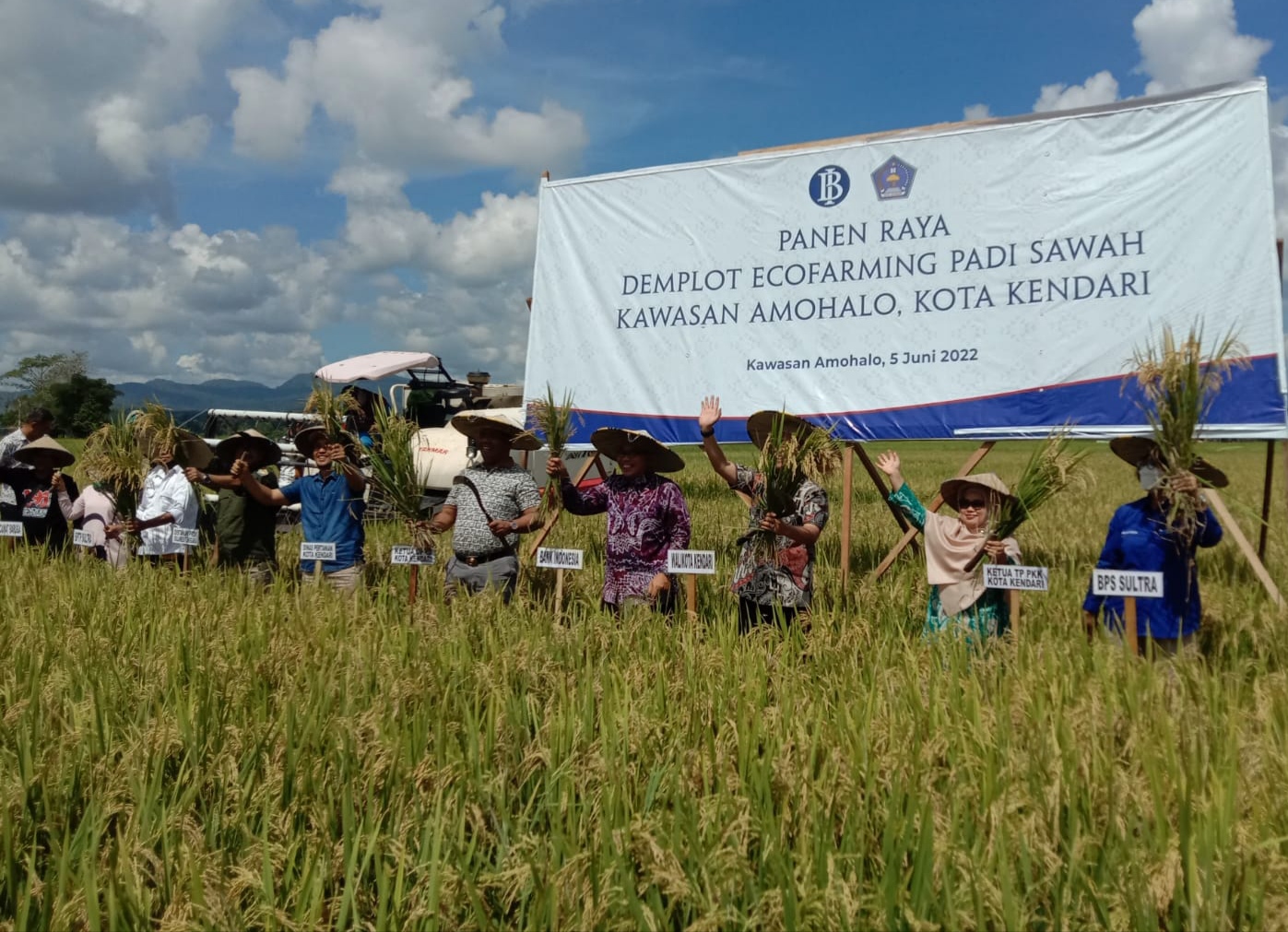 Panen raya demplot ecofarming padi sawah kawasan Amohalo, Minggu (5 Mei 2022) (Foto: Wa Rifin/SULTRAKINI.COM) ﻿