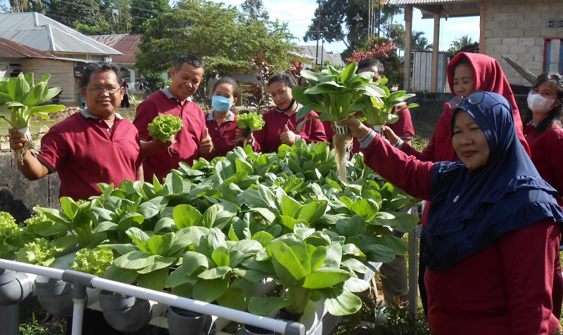 Tim PKMI LPPM UHO foto bersama di depan tanaman sayur pakchoy yang dibudidayakan dengan teknik hidroponik. Foto: IST