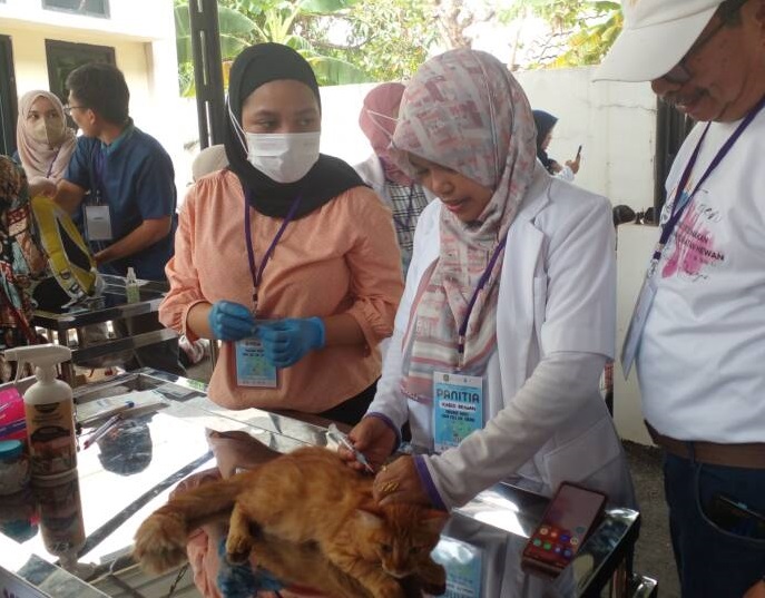 Vaksinasi Rabies di Kabupaten Subang, Sabtu (7 Oktober 2023). Foto: Mamat Rahmat/SultraKini.com.